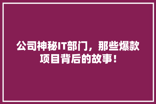 公司神秘IT部门，那些爆款项目背后的故事！ 搜狗SEO