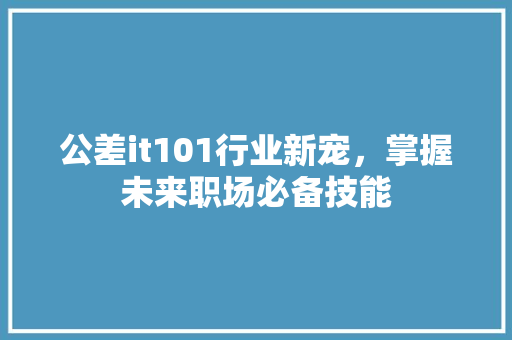 公差it101行业新宠，掌握未来职场必备技能 百度SEO