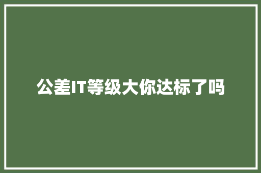 公差IT等级大你达标了吗 搜狗SEO
