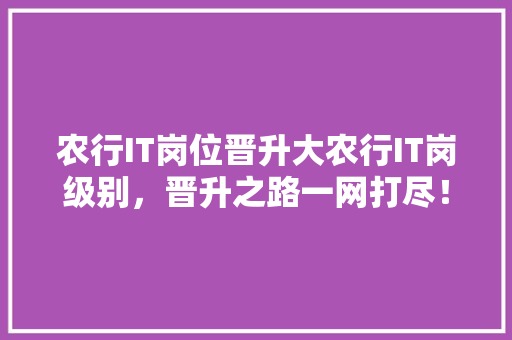 农行IT岗位晋升大农行IT岗级别，晋升之路一网打尽！ SEO关键词