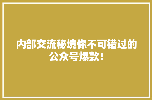 内部交流秘境你不可错过的公众号爆款！ 百度SEO