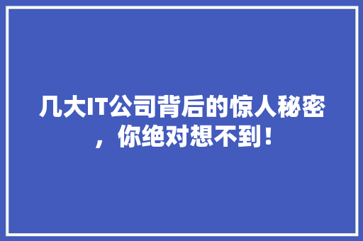 几大IT公司背后的惊人秘密，你绝对想不到！ 网站建设公司