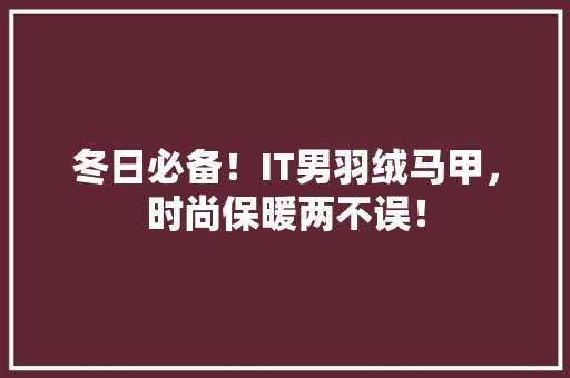冬日必备！IT男羽绒马甲，时尚保暖两不误！ 神马SEO