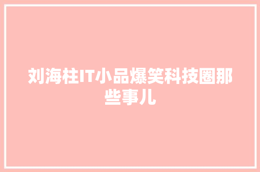 刘海柱IT小品爆笑科技圈那些事儿 网站建设公司