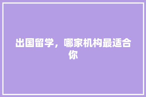 出国留学，哪家机构最适合你 网站建设公司