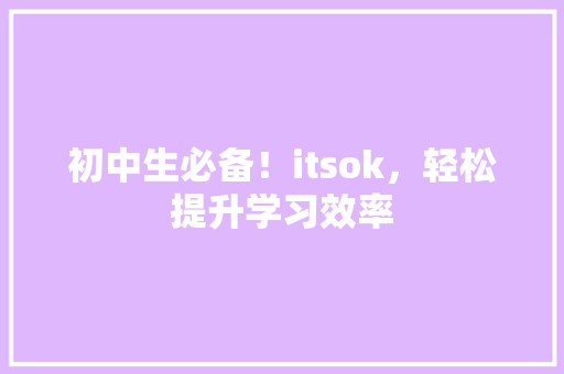 初中生必备！itsok，轻松提升学习效率 必应SEO