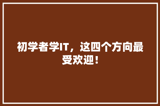 初学者学IT，这四个方向最受欢迎！ 必应SEO