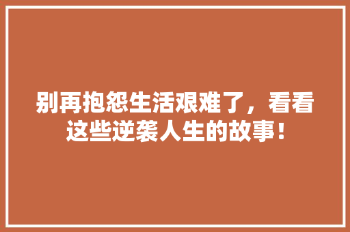 别再抱怨生活艰难了，看看这些逆袭人生的故事！ 百度SEO
