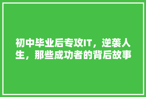 初中毕业后专攻IT，逆袭人生，那些成功者的背后故事！ 必应SEO