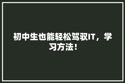 初中生也能轻松驾驭IT，学习方法！ 必应SEO