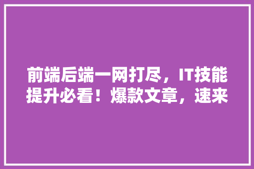 前端后端一网打尽，IT技能提升必看！爆款文章，速来收藏！ 神马SEO