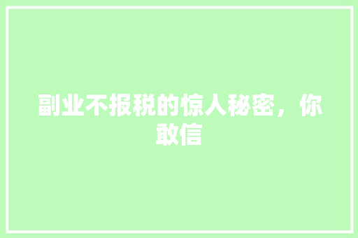 副业不报税的惊人秘密，你敢信 神马SEO