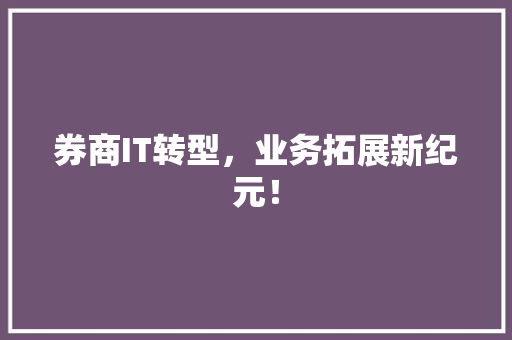 券商IT转型，业务拓展新纪元！ 网站建设公司