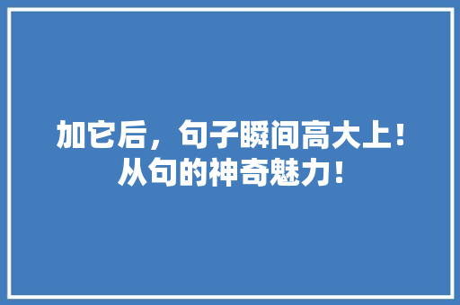 加它后，句子瞬间高大上！从句的神奇魅力！ 网站建设公司
