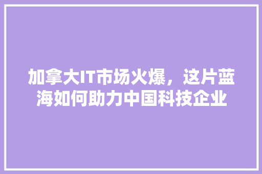 加拿大IT市场火爆，这片蓝海如何助力中国科技企业 必应SEO