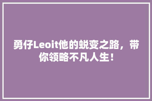 勇仔Leoit他的蜕变之路，带你领略不凡人生！ 搜狗SEO
