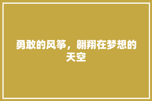 勇敢的风筝，翱翔在梦想的天空 网站建设公司