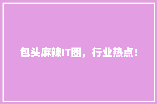 包头麻辣IT圈，行业热点！ SEO关键词