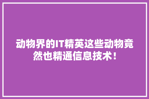 动物界的IT精英这些动物竟然也精通信息技术！ 网站建设公司