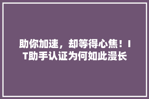 助你加速，却等得心焦！IT助手认证为何如此漫长 必应SEO