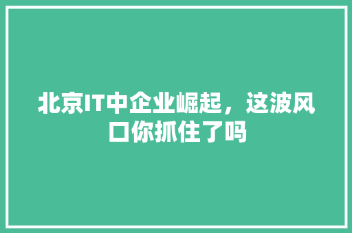 北京IT中企业崛起，这波风口你抓住了吗 神马SEO
