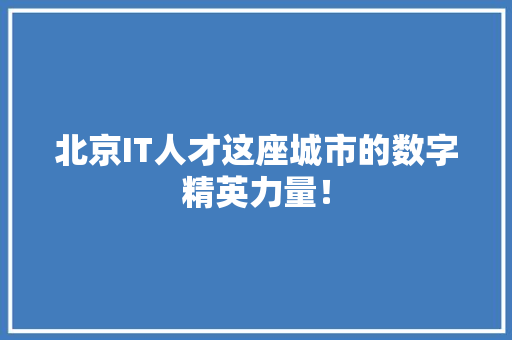 北京IT人才这座城市的数字精英力量！ 必应SEO