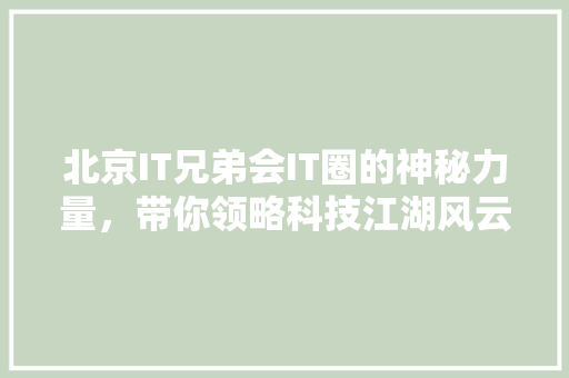 北京IT兄弟会IT圈的神秘力量，带你领略科技江湖风云！