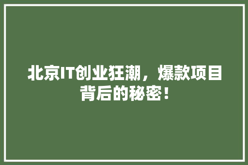 北京IT创业狂潮，爆款项目背后的秘密！ 必应SEO