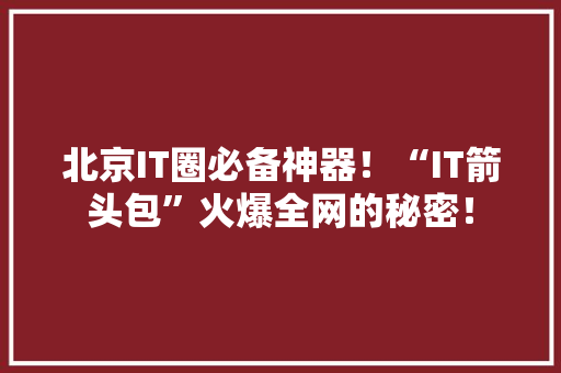 北京IT圈必备神器！“IT箭头包”火爆全网的秘密！ 搜狗SEO