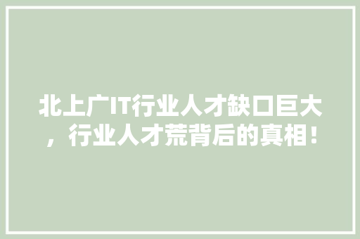 北上广IT行业人才缺口巨大，行业人才荒背后的真相！ 搜狗SEO