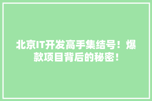 北京IT开发高手集结号！爆款项目背后的秘密！ 百度SEO