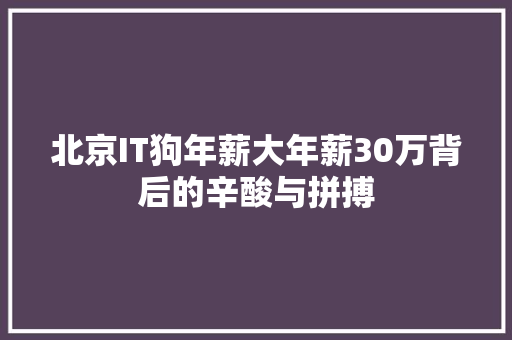 北京IT狗年薪大年薪30万背后的辛酸与拼搏 必应SEO