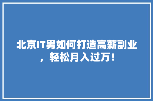 北京IT男如何打造高薪副业，轻松月入过万！ 网站建设公司