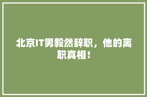 北京IT男毅然辞职，他的离职真相！ SEO关键词