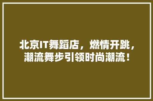 北京IT舞蹈店，燃情开跳，潮流舞步引领时尚潮流！ 百度SEO