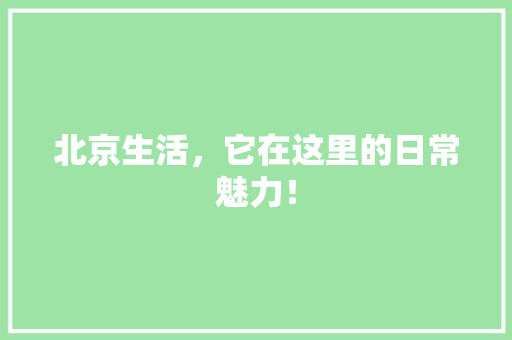 北京生活，它在这里的日常魅力！ 网站建设公司