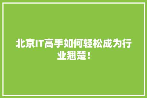 北京IT高手如何轻松成为行业翘楚！ 必应SEO