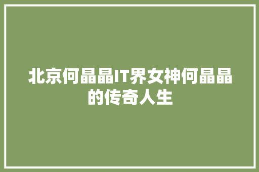 北京何晶晶IT界女神何晶晶的传奇人生 网站建设公司
