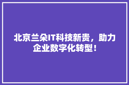 北京兰朵IT科技新贵，助力企业数字化转型！ SEO关键词