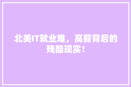 北美IT就业难，高薪背后的残酷现实！