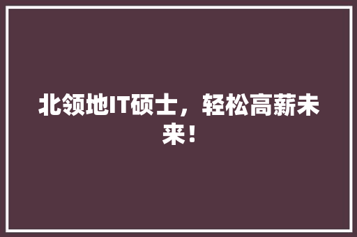 北领地IT硕士，轻松高薪未来！ 网站建设公司