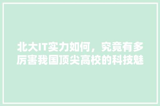 北大IT实力如何，究竟有多厉害我国顶尖高校的科技魅力！ 网站建设公司