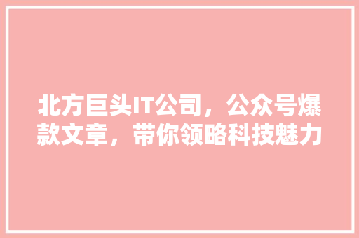 北方巨头IT公司，公众号爆款文章，带你领略科技魅力！ 网站建设公司