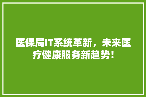医保局IT系统革新，未来医疗健康服务新趋势！ 神马SEO