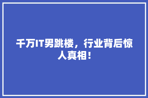 千万IT男跳楼，行业背后惊人真相！ 百度SEO