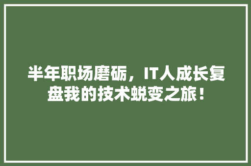 半年职场磨砺，IT人成长复盘我的技术蜕变之旅！ 网站建设公司