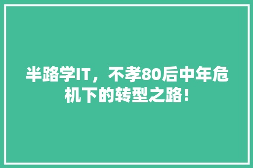 半路学IT，不孝80后中年危机下的转型之路！ 必应SEO