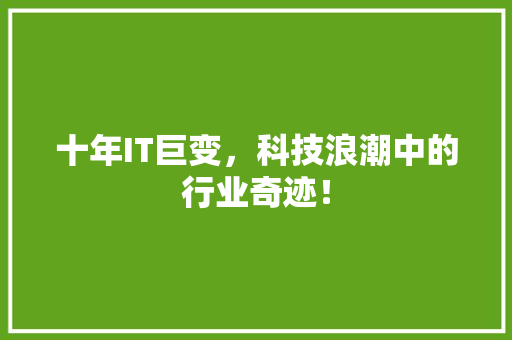 十年IT巨变，科技浪潮中的行业奇迹！ SEO关键词