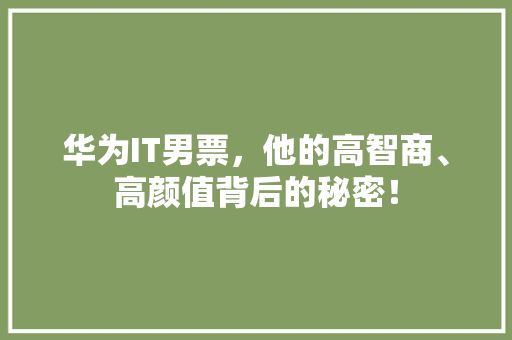 华为IT男票，他的高智商、高颜值背后的秘密！ 神马SEO