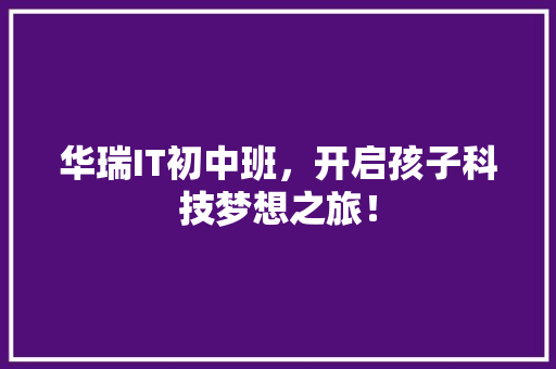 华瑞IT初中班，开启孩子科技梦想之旅！ 百度SEO